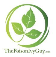 THE PI GUY