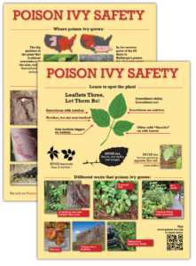 The Infamous Poison Ivy Skin Rash Hall of Fame 1 POISON-IVY-PAD