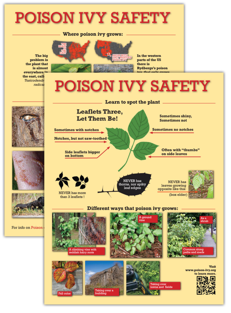 Poison Ivy - Poison Oak - Poison Sumac Blog 11 POISON-IVY-PAD