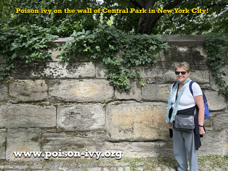 HOME 1 poison-ivy-central-park