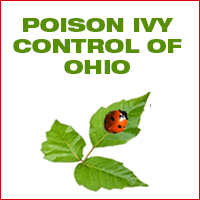 poison ivy control ohio